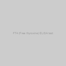 Image of FT4 (Free thyroxine) ELISA test